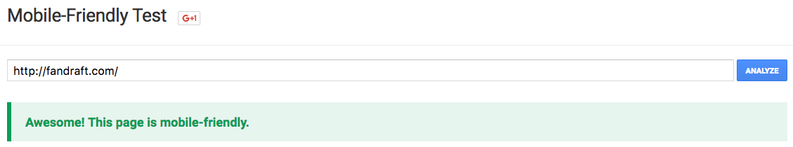 Google's mobile friendly test results
