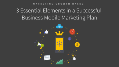 3 Essential Elements in a Successful Business Mobile Marketing Plan