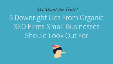 5 Downright Lies From Organic SEO Firms Small Businesses Should Look Out For